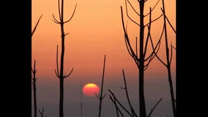 Peaceful And beautiful
