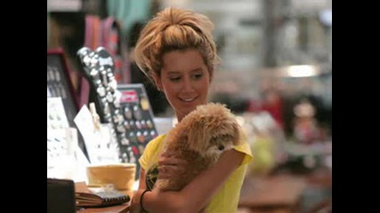 [*ashleys Dogs*]