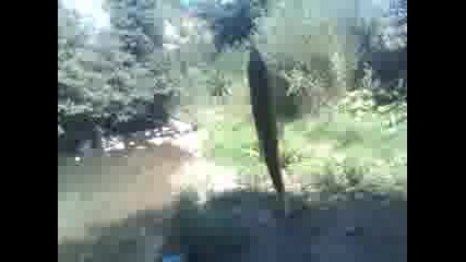 Ibaaaaaasi kefa