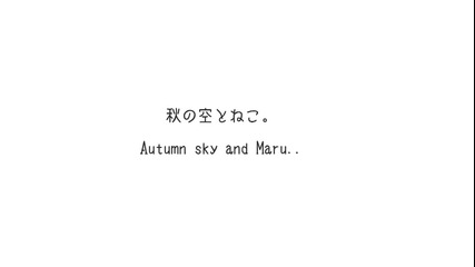 Котето Мару и есенното небе