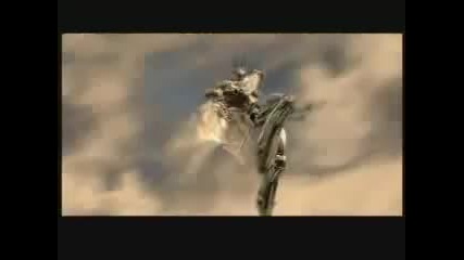 Linkin Park Trailer
