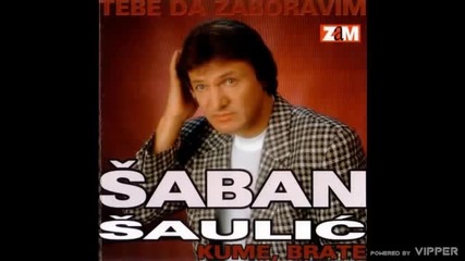 Saban Saulic - Tebe da zaboravim - (Audio 1998)