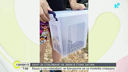 Баща и син спасяват змии от домове в Стара Загора
