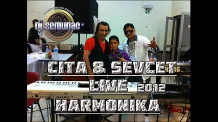 Cita Sevcet 2012 2013 Live Harmonika - Aman Tuman Doktor Prala - By Dj Zemunac
