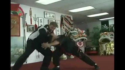 Extreme Wing Chun Kung Fu Street Tactics 
