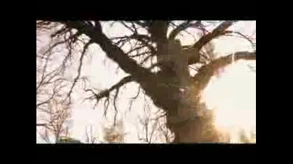 Dj Ironik - Stay With Me [official Video]