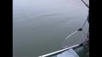Рибарското Щастие На Едно Момченце
