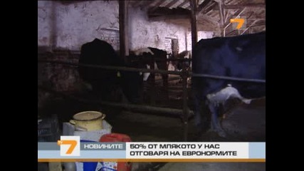 50% от млякото у нас отговаря на евронормите