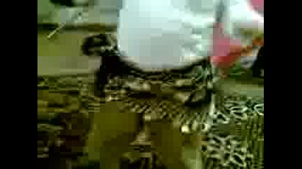 Eto Go Pakk Stanislav