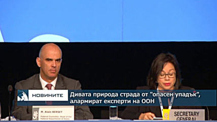 Дивата природа страда от "опасен упадък", алармират експерти на ООН