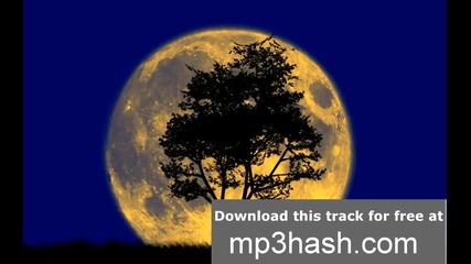 Sebastian Brandt - 450 Original Mix 