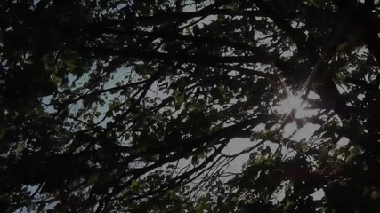 Wonderful Chill Out Music - Красивата природа