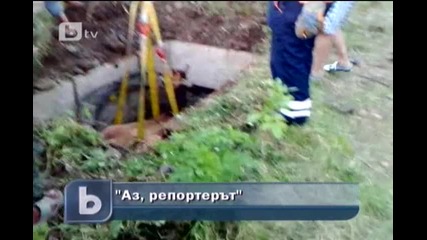 Кон пропадна в шахта