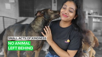 A Small Act of Kindness: The woman saving India's unwanted dogs