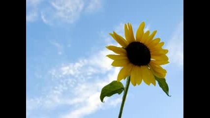 Santiago Nino & Alaa - Summer Days (Original Mix)