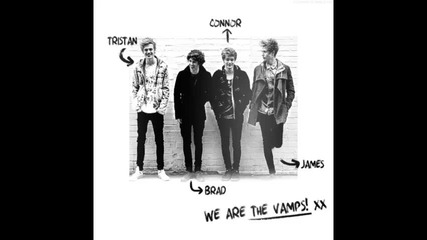 *2014* The Vamps ft. Pixie Lott - Wild heart ( Remix )
