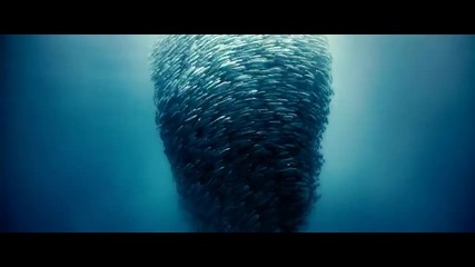 H D Disney Oceans - Official Exploring Oceans Featurette