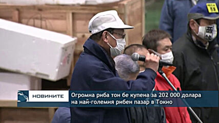 Огромна риба тон бе купена за 202 000 долара на най-големия рибен пазар в Токио