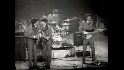 The Beatles - She Loves You
