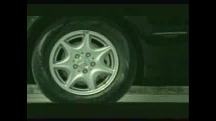 Куче опитва да се самоубие заради любов