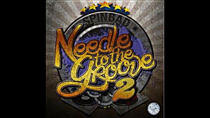 Dj Spinbad: Needle To The Groove 2 (2010)