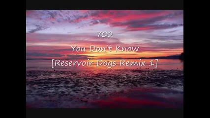 702 - You Don't Know [reservoir Dogs Remix 1]