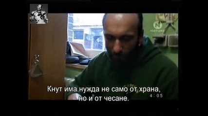 Кнут и Приятели 06.04.11 Част 1/5