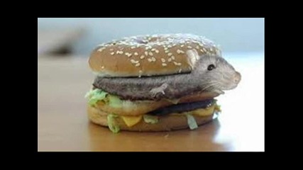 Забавни картинки