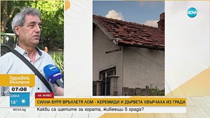 Паднали дървета и отнесени улични стълбове: Мощна буря връхлетя Лом