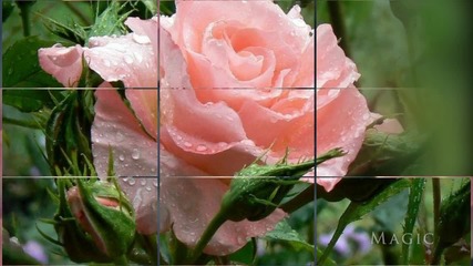 Styles for Proshow Producer #5