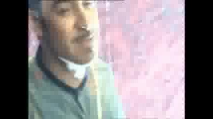 Notis 