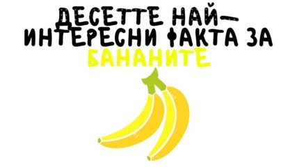 Десетте най-интересни факта за бананите