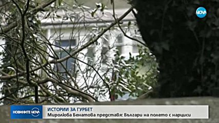Миролюба Бенатова представя: Българи на полето с нарциси