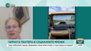 Пети ден издирват черния леопард в Шуменско