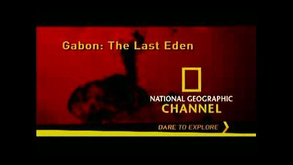 Габон - Последния Рай На Земята