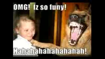 funny video