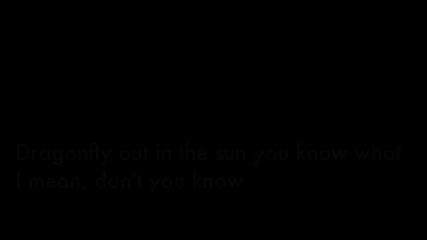 Nina Simone - Feeling Good (lyrics)