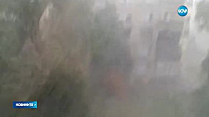 "Моята новина": Пороен дъжд и бурен вятър във Видин