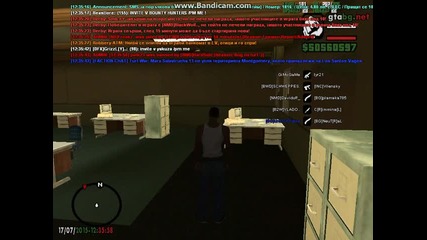 polk23 - Bug na turf.
