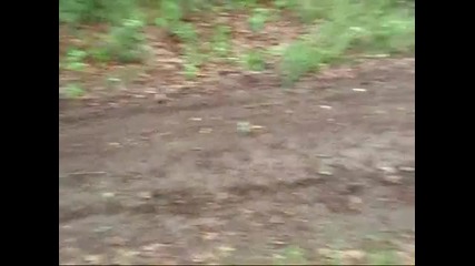 pit bike crooss 2