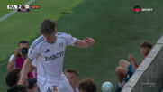 Fulham with a Spectacular Goal vs. Newcastle United