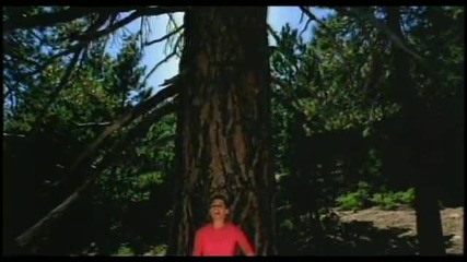 Nelly Furtado - Im Like A Bird2 