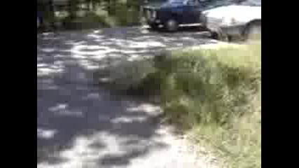 Mov00004.3gp