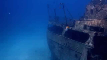 Седмица За Aкулите - Discovery Channel част 2