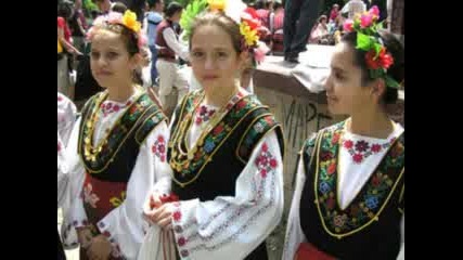 New - Hamza - Balkanika