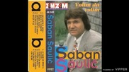 Saban Saulic - Hocu s tobom parce raja - (Audio 1995) (1)