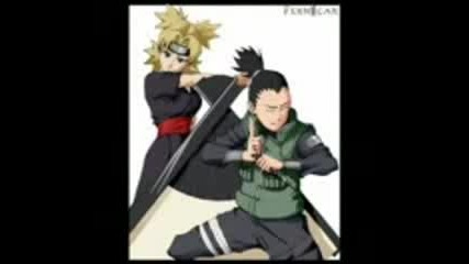 Shikatema best