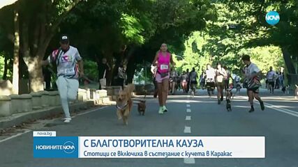Кучешки спринт: Над 150 домашни любимци участваха в благотворително състезание