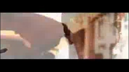 Dg Yola - Aint Gon Let Up (official Video) 