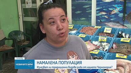 Новините на NOVA (18.08.2024 - обедна емисия)